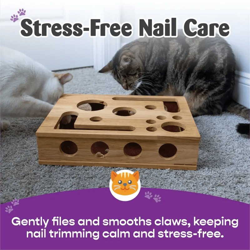 🎁😻 Cat Scratching Toy Box: Easily trim your cat’s nails without nail clippers or a nail file